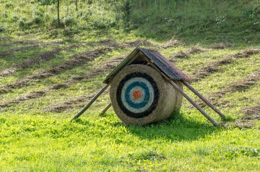 The target on the bale in field