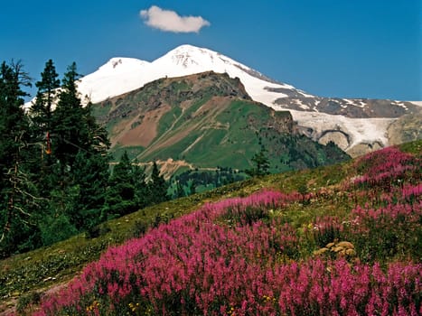 Elbrus - a stratovolcano in the Central Caucasus - the highest mountain peak in Europe.