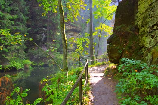 so called Kirnitzschtal in the Elbe sandstone mountains