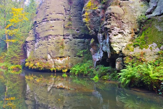 so called Kirnitzschtal in the Elbe sandstone mountains