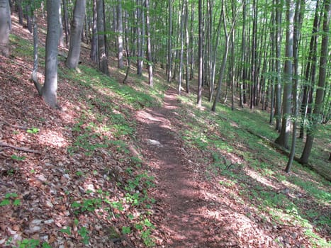 Hiking trail, Jena, Lobeda, Kernberge, Thuringia, Germany, end of May 2019