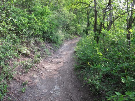 Hiking trail, Jena, Lobeda, Kernberge, Thuringia, Germany, end of May 2019