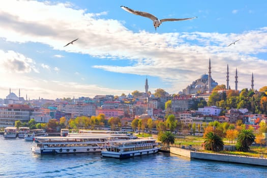Eminonu pier and the Suleymaniye Mosque in Istanbul, Turkey.