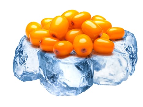Pile of sea buckthorn berries freezing on rough crushed ice