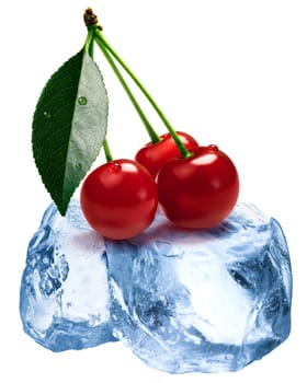 Sour cherries with leaves freezing on roughly crushed ice