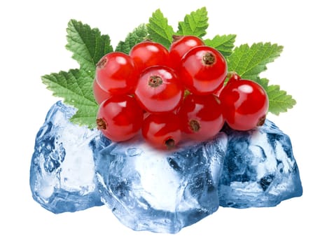 Pile of red currant freezing on roughly crushed ice, isolated