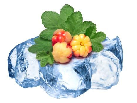 Pile of cloudberries freezing on roughly crushed ice