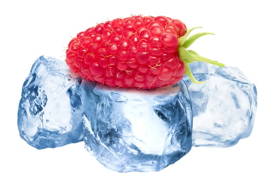 Giant raspberry freezing on roughly crushed ice