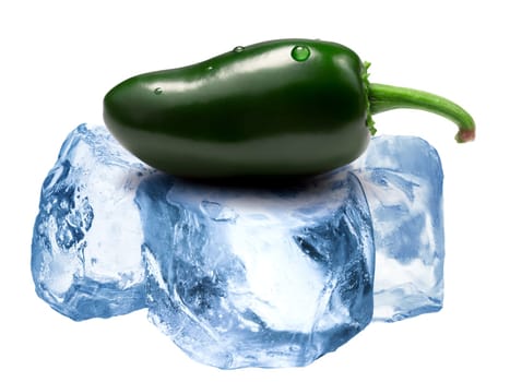 Whole green Jalapeno chile peppers freezing on roughly crushed ice