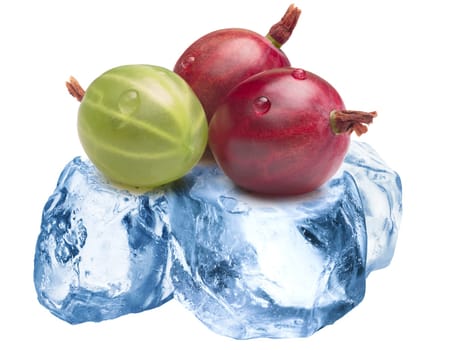 Pile of gooseberries freezing on roughly crushed ice