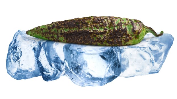 Grilled or fire roasted green hatch chile freezing on rough crushed ice, isolated