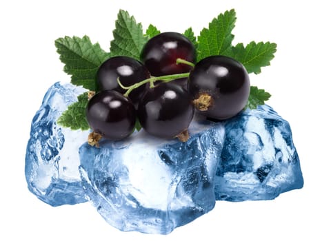 Pile of black currant freezing on roughly crushed ice, isolated