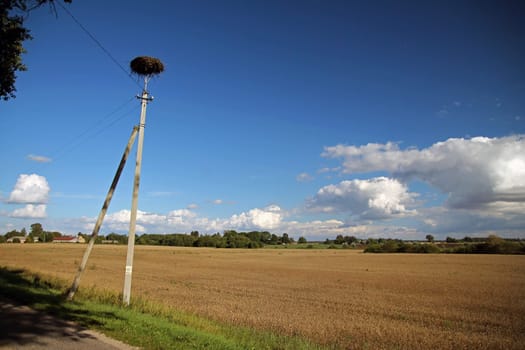 The nest on the top of a pole in the prairie