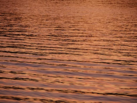 glare on golden water from the setting sun, background