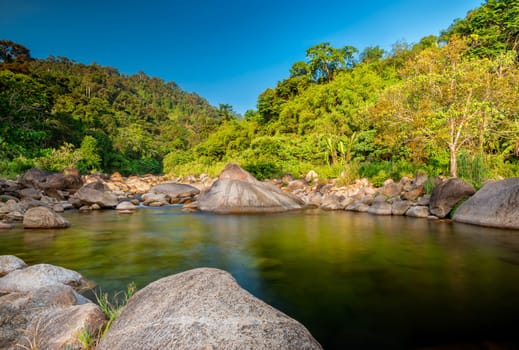 River stone and green tree, View water river tree, Stone river in tropical green tree in forest
