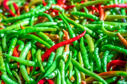 Red pepper on green peppers blurred background. Chilli pepper