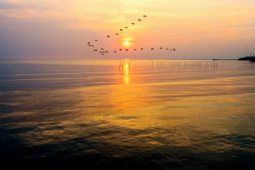 Flock of seagulls bird flying in a line through the bright yellow sun on golden light sky and sunlight reflect the water of the sea beautiful nature landscape at sunrise, sunset background, Thailand