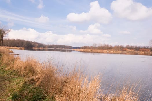Riverside landscape, Wild, Untouched Nature. Sunny early Spring Day. Odra River in Kozanow, Wroclaw city , Poland.