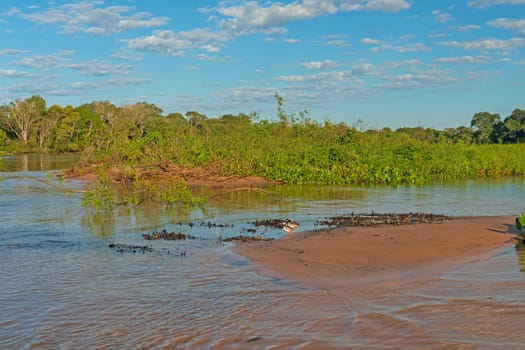 Pantanal Wetlands Panorama on the Cuiaba River in Pantanal National Park in Brazil