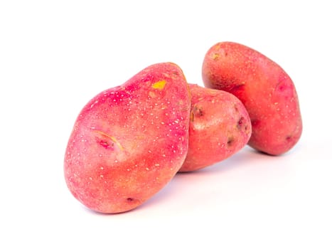 Harvest potatoes on a white background with place for text. Farming. Agriculture.