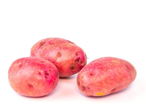 Harvest potatoes on a white background with place for text. Farming. Agriculture.