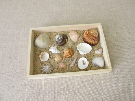 Shells, snails and sand from the beach in a small wooden box