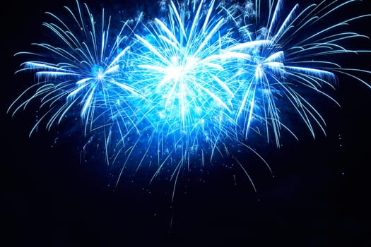 Blue colorful fireworks on the black sky background