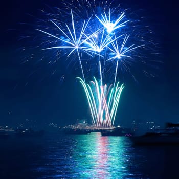 Colorful fireworks on the black sky background
