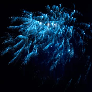 Blue and red colorful holiday fireworks on the black sky background.