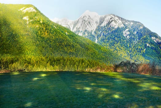 Green field and mountains covered with snow