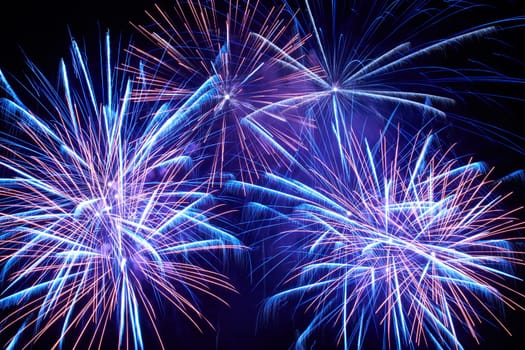 Blue colorful fireworks on the black sky background