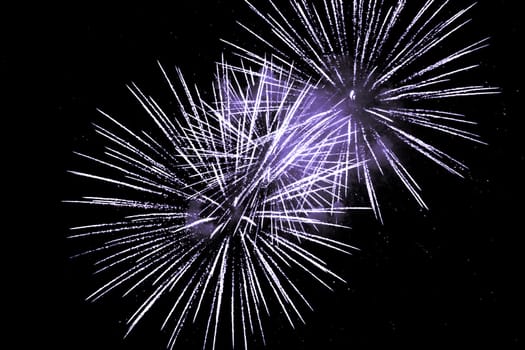 Premium entertainment magic star firework at e.g. New Years Eve or Independence Day party celebration. Black background copyspace.
