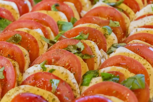 Wonderful vegetarian vegan appetizer. Green, bio and local food. Tomato and cheese in rows with herbs and basil. Healthy nutrition.
