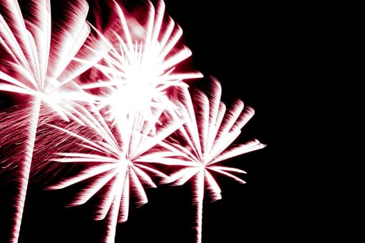 Premium entertainment magic star firework at e.g. New Years Eve or Independence Day party celebration. Black background copyspace.