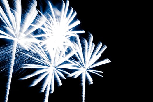 Premium entertainment magic star firework at e.g. New Years Eve or Independence Day party celebration. Black background copyspace.