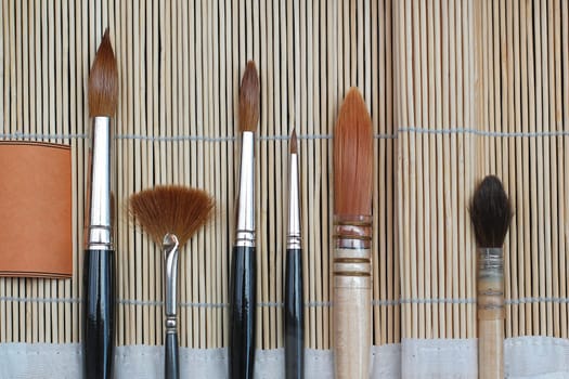 Various artistic paint brushes for fine art