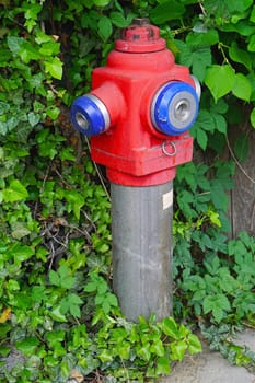 Water hydrant overgrown with weeds