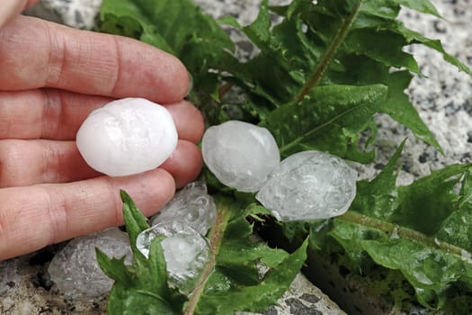 Large hailstones on the hand of a woman in a storm