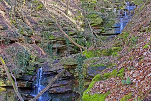 In the Odenwald Margarethenschlucht near Neckargerach