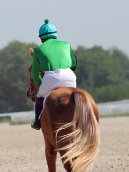 The jockey and akhal-teke stallion.Hippodrome in city Pyatigorsk,Caucasus,Russia.