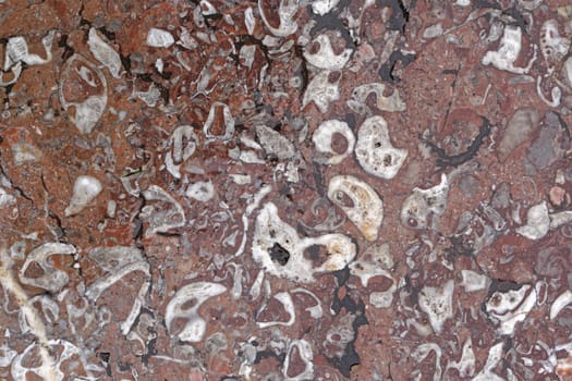 Brown marble stone close up background