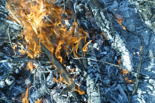 Fire and ash. Campfire in summer