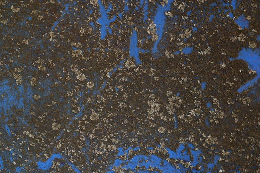 moss covered sheet of metal textured background