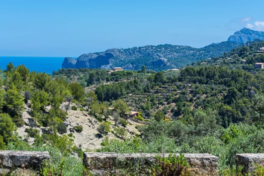 Wild West Coastline of Mallorca, Spain in the background the Mediterranean Sea.