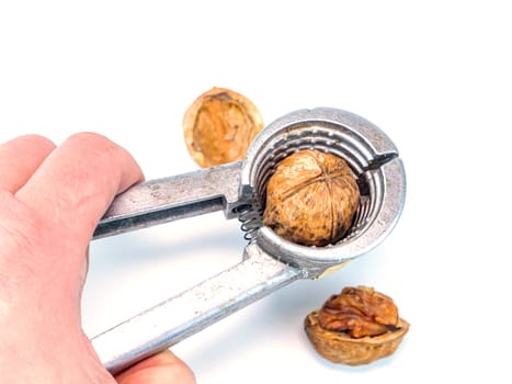 Cracking walnuts on a white background with place for text. Free place. Background image. Food photo.