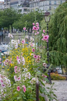 discovery of Paris and the banks of the Seine in summer, France