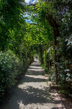 discovery of Paris and the banks of the Seine in summer, France