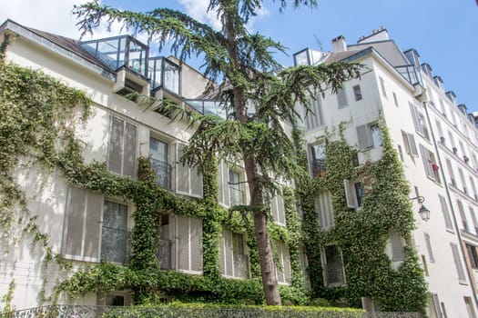 discovery of Paris and the banks of the Seine in summer, France