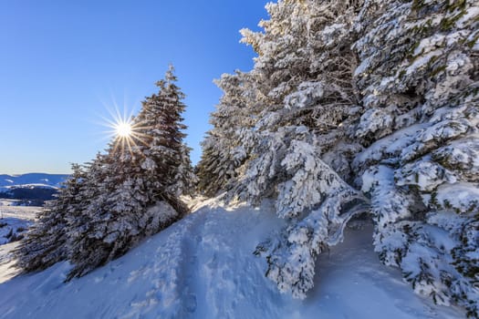 mountain landscape in winter, Ciucas Mountains, Romania