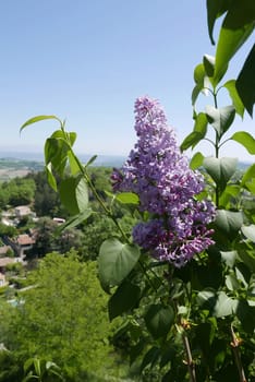 Walk around Forcalquier in the Alpes de Haute Provence, France